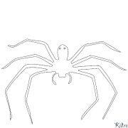 spider Տպագրվող Գունազարդման Էջեր